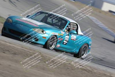 media/Oct-21-2023-Speed Ventures (Sat) [[ddf75163c5]]/Green/Grapvine/